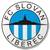 Slovan Liberec